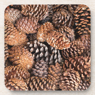 USA, Kalifornien, Inyo National Forest Untersetzer