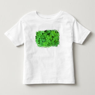 USA, Kalifornien, Jedediah Smith Redwood SP Kleinkind T-shirt
