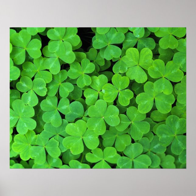 USA, Kalifornien, Jedediah Smith Rewood SP. Poster (Vorne)