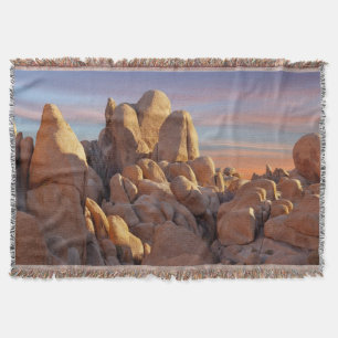 USA, Kalifornien, Joshua-Baum-Nationalpark Decke