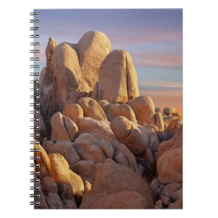 USA, Kalifornien, Joshua-Baum-Nationalpark Notizblock