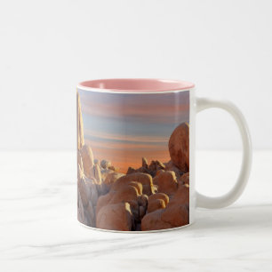 USA, Kalifornien, Joshua-Baum-Nationalpark Zweifarbige Tasse