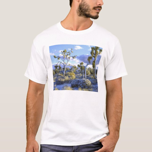 USA, Kalifornien, Joshua Tree National Park.  2 T-Shirt (Vorderseite)