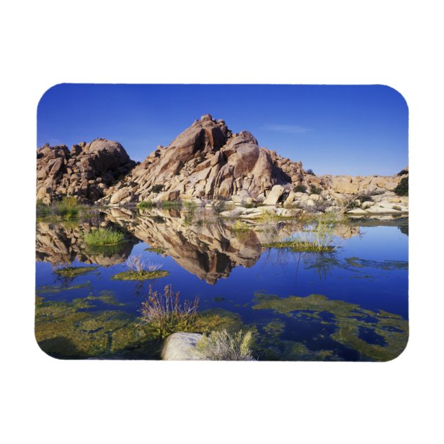 USA, Kalifornien, Joshua Tree National Park, Magnet (Horizontal)