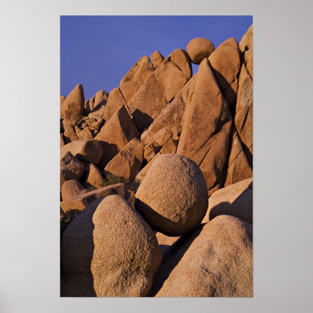 USA, Kalifornien, Joshua Tree National Park. Poster (Vorne)