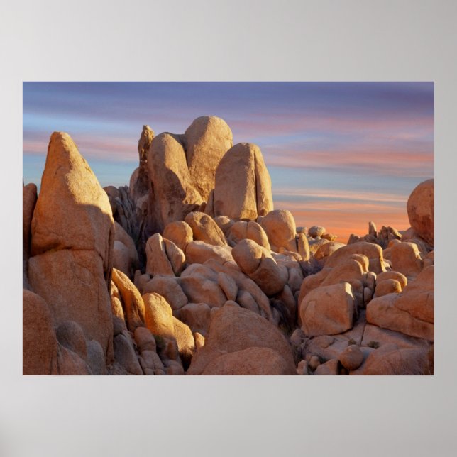 USA, Kalifornien, Joshua Tree National Park Poster (Vorne)