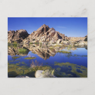 USA, Kalifornien, Joshua Tree National Park, Postkarte