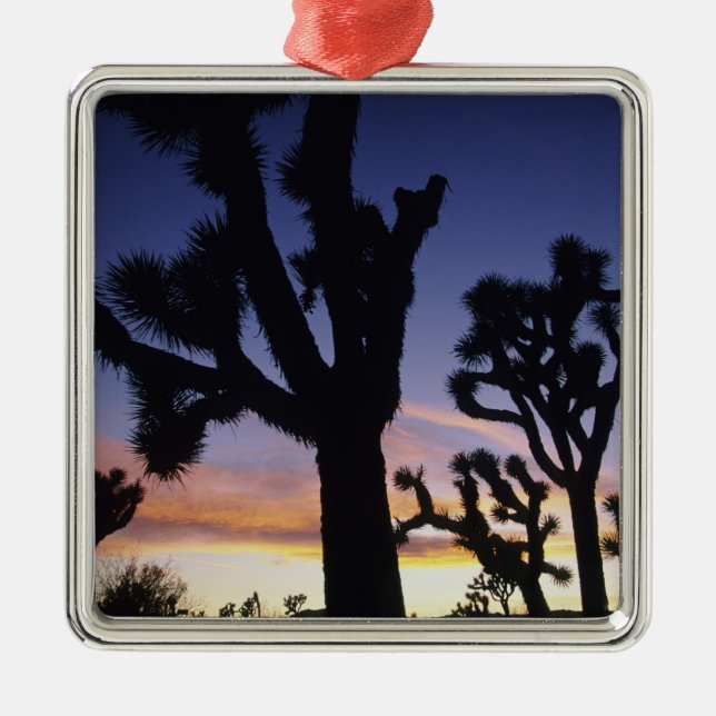 USA, Kalifornien, Joshua Tree National Park Silbernes Ornament (Vorne)