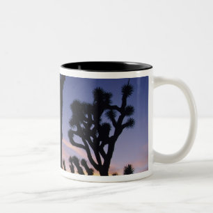 USA, Kalifornien, Joshua Tree National Park Zweifarbige Tasse