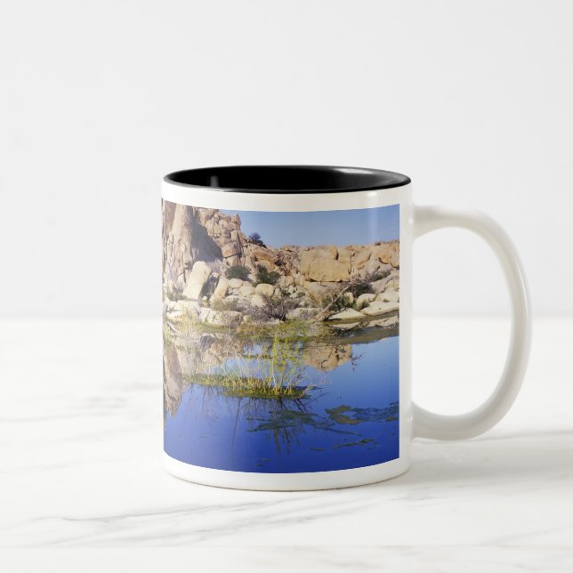 USA, Kalifornien, Joshua Tree National Park Zweifarbige Tasse (Rechts)