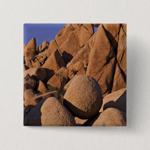 USA, Kalifornien, Joshua-Tree-Nationalpark. Button