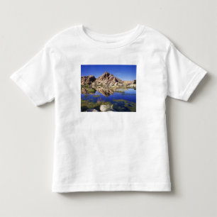 USA, Kalifornien, Joshua Tree Nationalpark, Kleinkind T-shirt