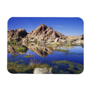 USA, Kalifornien, Joshua-Tree-Nationalpark, Magnet
