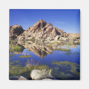 USA, Kalifornien, Joshua-Tree-Nationalpark, Magnet