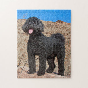 USA, Kalifornien. Labradoodle Stehend Puzzle