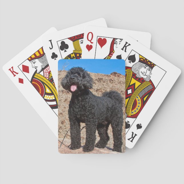 USA, Kalifornien. Labradoodle Stehend Spielkarten (Rückseite)