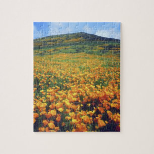 USA, Kalifornien, Lake Elsinore. Kalifornien Puzzle