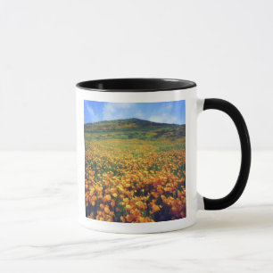 USA, Kalifornien, Lake Elsinore. Kalifornien Tasse