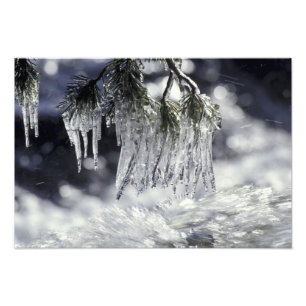 USA, Kalifornien, Lake Tahoe. Eiszapfen über Fotodruck