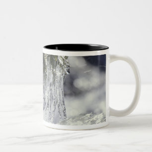 USA, Kalifornien, Lake Tahoe. Eiszapfen über Zweifarbige Tasse