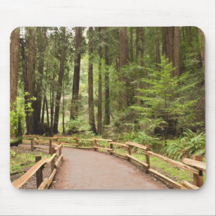 USA, Kalifornien, Marin Landkreis, Muir Woods Mousepad