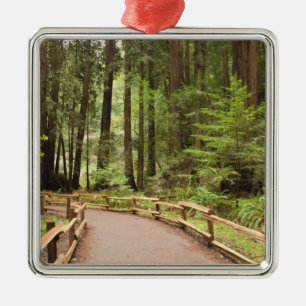 USA, Kalifornien, Marin Landkreis, Muir Woods Silbernes Ornament