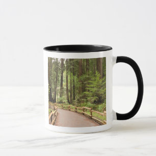 USA, Kalifornien, Marin Landkreis, Muir Woods Tasse