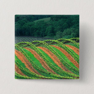 USA, Kalifornien, Mendocino County, ein spalierför Button