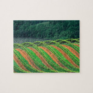 USA, Kalifornien, Mendocino County, ein spalierför Puzzle