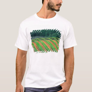 USA, Kalifornien, Mendocino County, ein spalierför T-Shirt