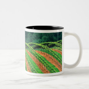 USA, Kalifornien, Mendocino County, ein spalierför Zweifarbige Tasse