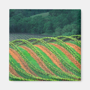 USA, Kalifornien, Mendocino Landkreis, ein getrick Magnet