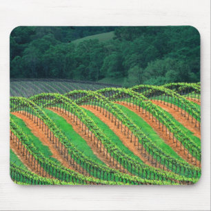 USA, Kalifornien, Mendocino Landkreis, ein getrick Mousepad