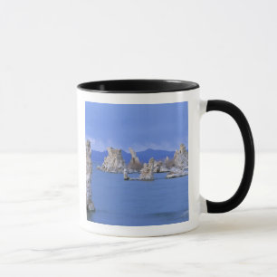 USA, Kalifornien, Mono Lake Tasse