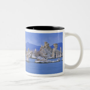 USA, Kalifornien, Mono Lake Zweifarbige Tasse