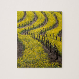 USA, Kalifornien, Napa Valley, Los Carneros Ava. Puzzle