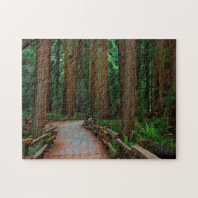 USA, Kalifornien. Pfad unter Redwood in Muir Puzzle (Horizontal)