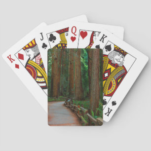 USA, Kalifornien. Pfad zwischen Redwoods in Muir Spielkarten