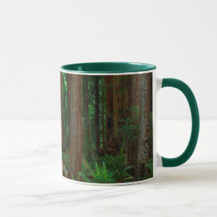USA, Kalifornien. Pfad zwischen Redwoods in Muir Tasse