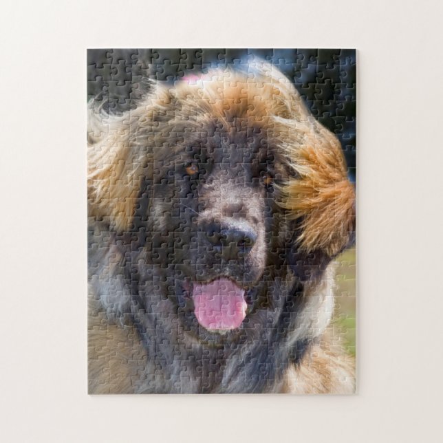 USA, Kalifornien. Portrait von Leonberger sitzend Puzzle (Vertikal)