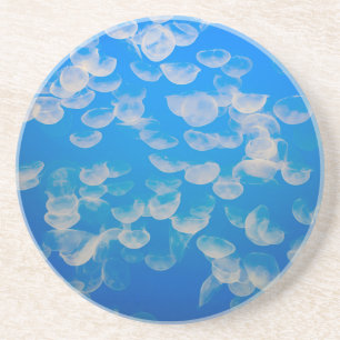 USA, Kalifornien. Quallen in der Bucht von Montere Getränkeuntersetzer