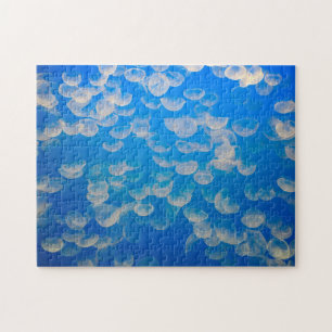 USA, Kalifornien. Quallen in der Bucht von Montere Puzzle