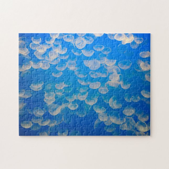 USA, Kalifornien. Quallen in der Bucht von Montere Puzzle (Horizontal)