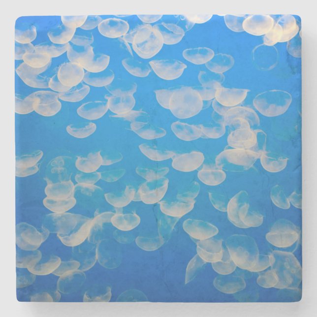 USA, Kalifornien. Quallen in der Bucht von Montere Steinuntersetzer (Vorderseite)