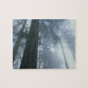 USA, Kalifornien, Redwood National Park, Del Puzzle