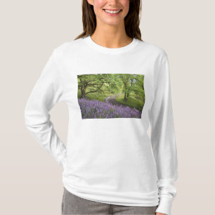 USA, Kalifornien, Redwood National Park. Mist T-Shirt