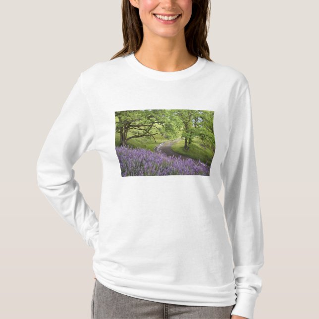 USA, Kalifornien, Redwood National Park. Mist T-Shirt (Vorderseite)