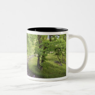 USA, Kalifornien, Redwood National Park. Mist Zweifarbige Tasse
