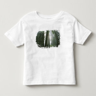USA, Kalifornien, Redwood-Nationalpark, 2 Kleinkind T-shirt