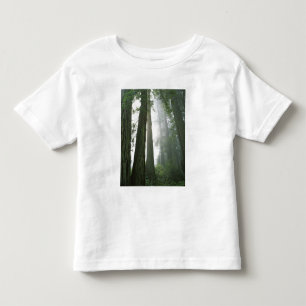 USA, Kalifornien, Redwood-Nationalpark, Kleinkind T-shirt